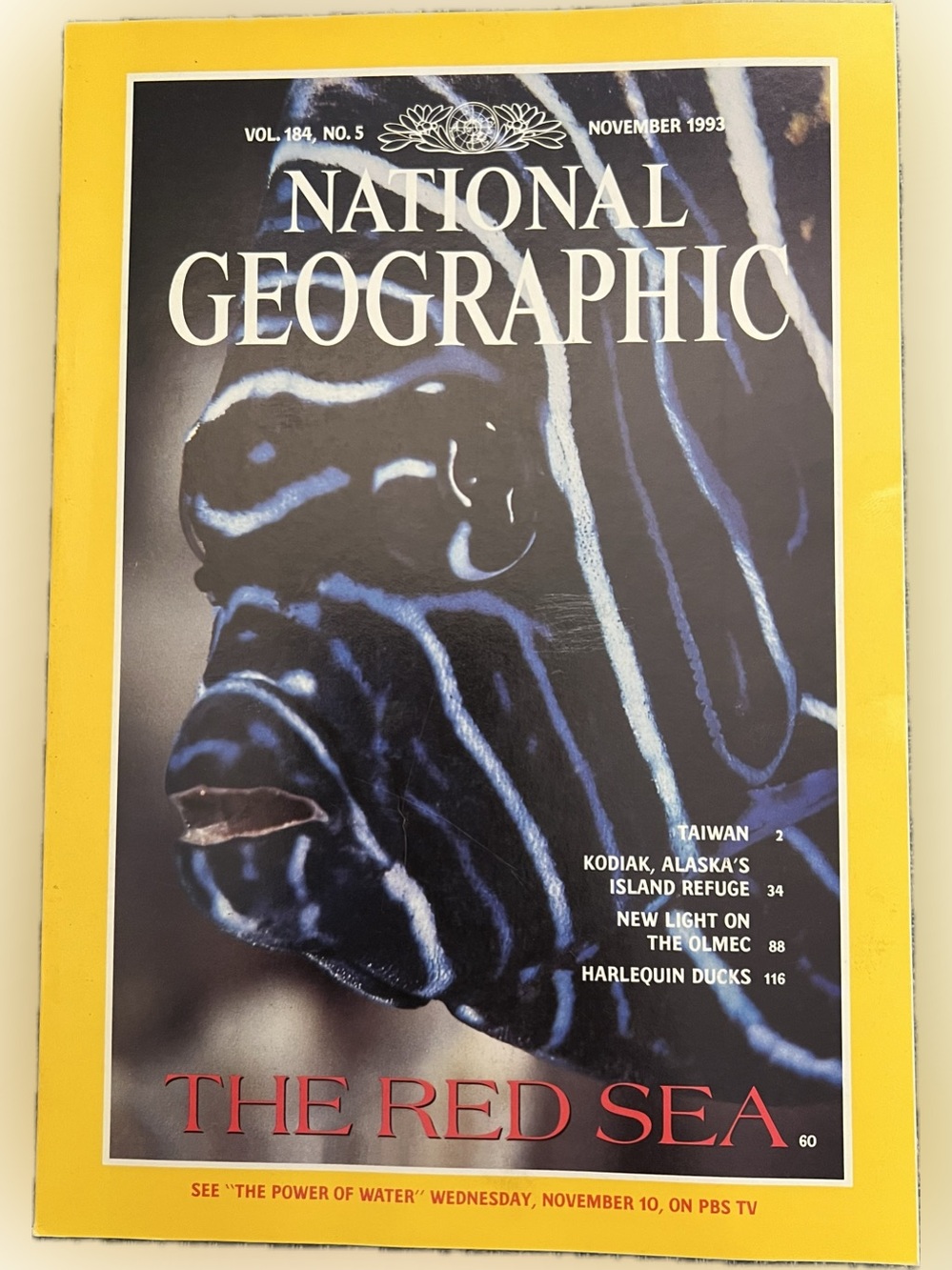 🍄 Vintage National Geographic Magazine Vol. 184 #5 November  1993